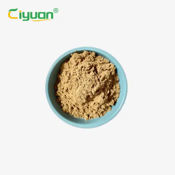 Coriolus Versicolor tablets